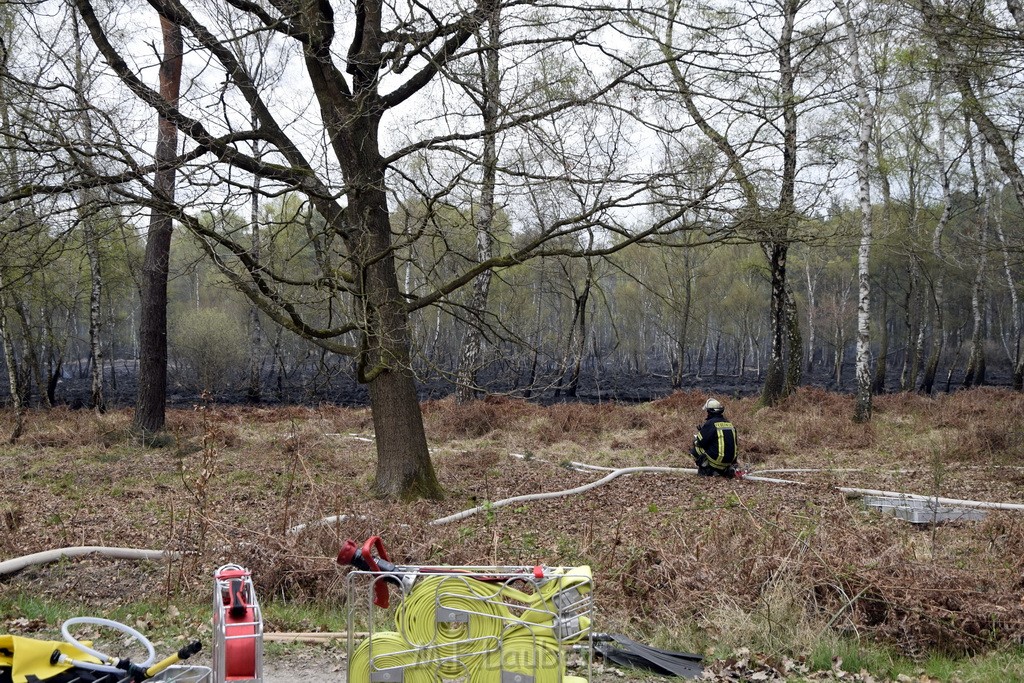 Waldbrand Wahner Heide Troisdorf Eisenweg P089.JPG - Miklos Laubert